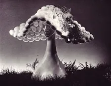 Gene Moore Tiffany window